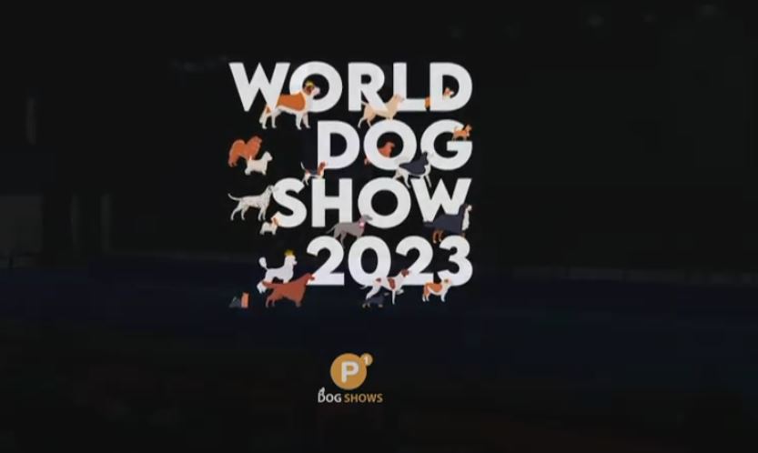 World dog show 2023 Genève